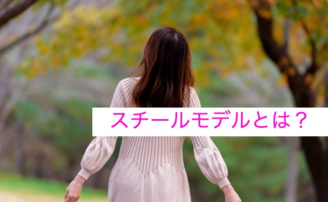 スチールモデルについて