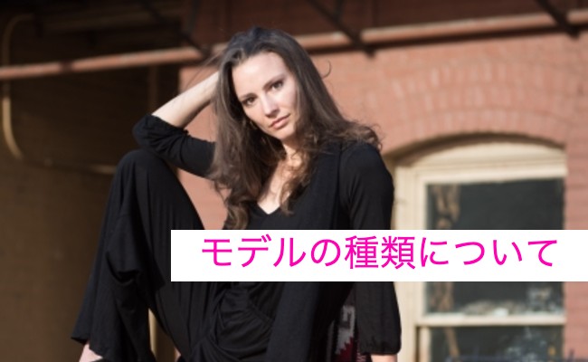 モデルの種類